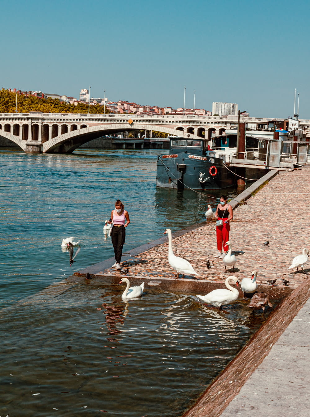 a group of people standing on a dock with birds on it