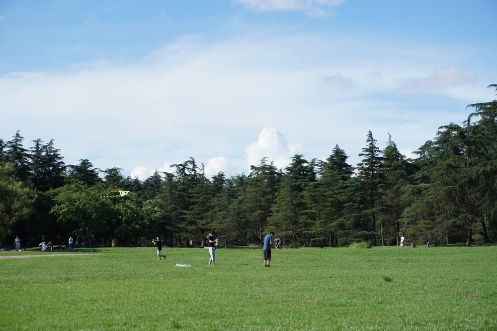 people playing with frisbee in a park