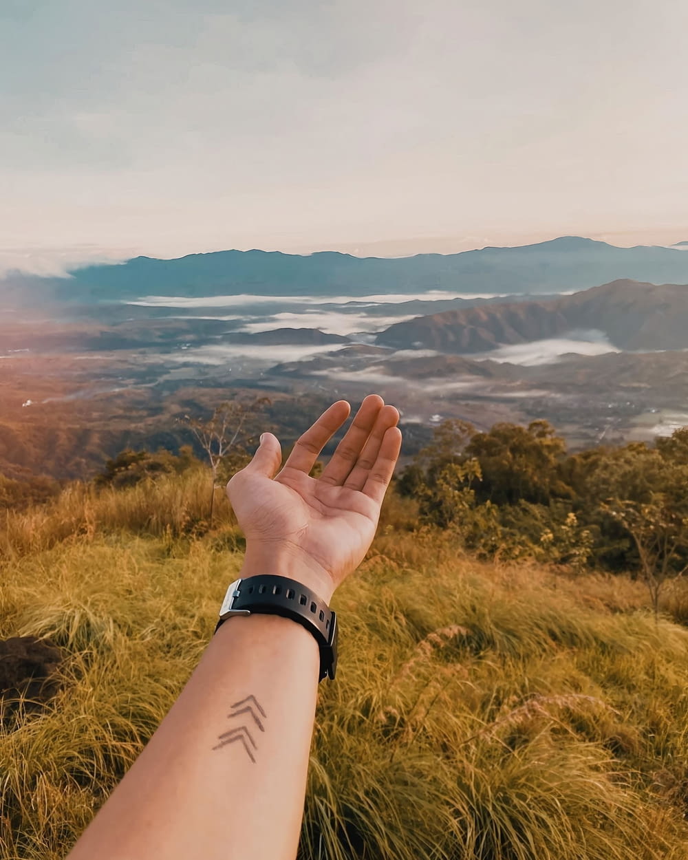 a hand with a watch on a hill overlooking a valley