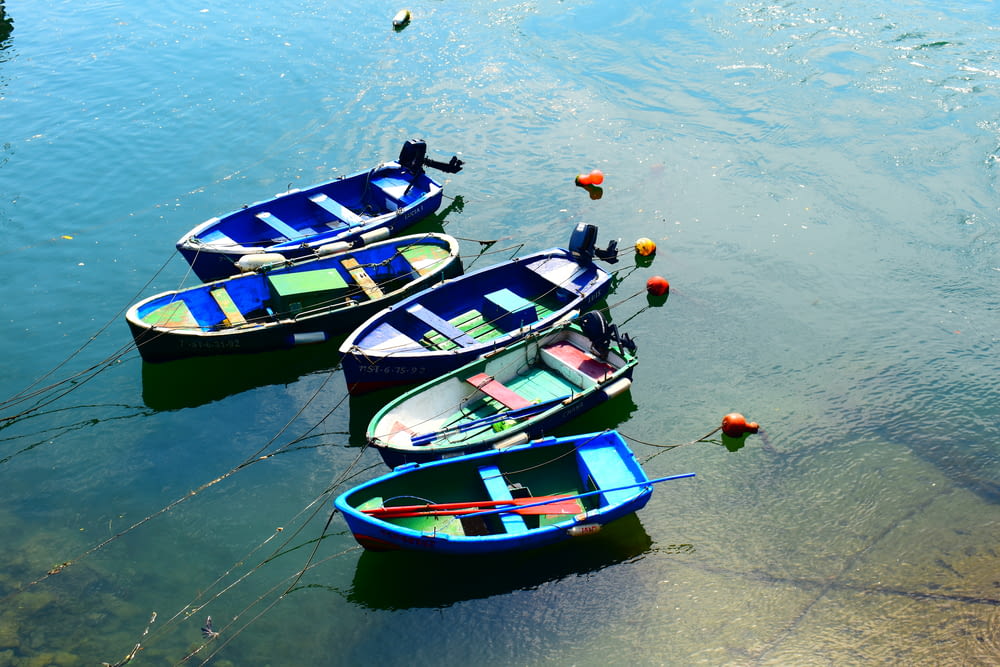 boats tied to the shore