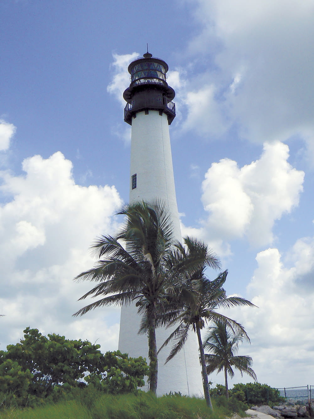 a tall white tower with a pointed top and palm trees in front of it
