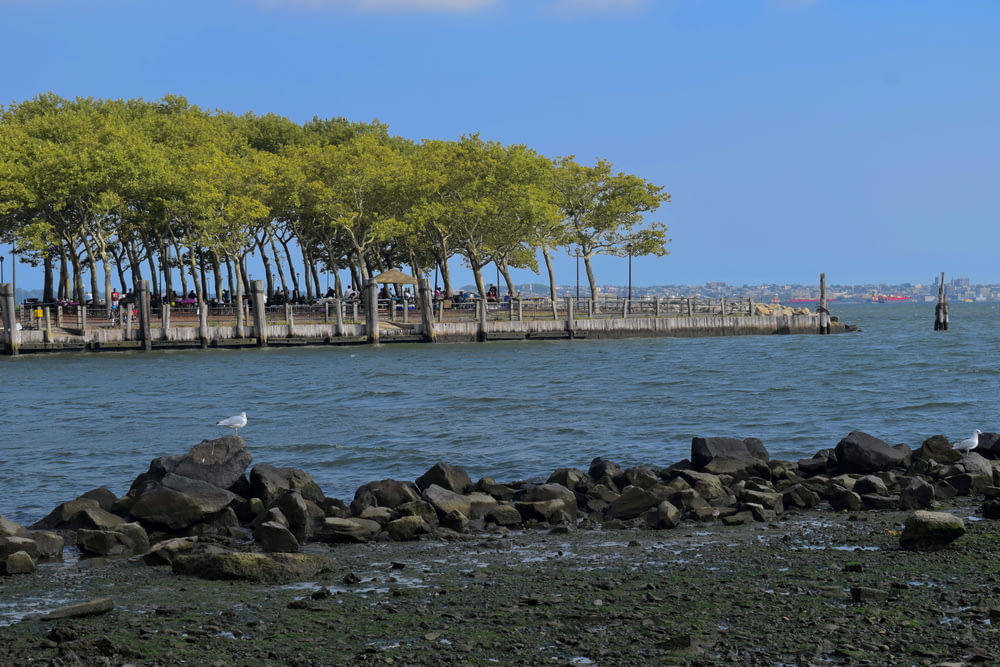 a rocky beach with trees and a pier in the background