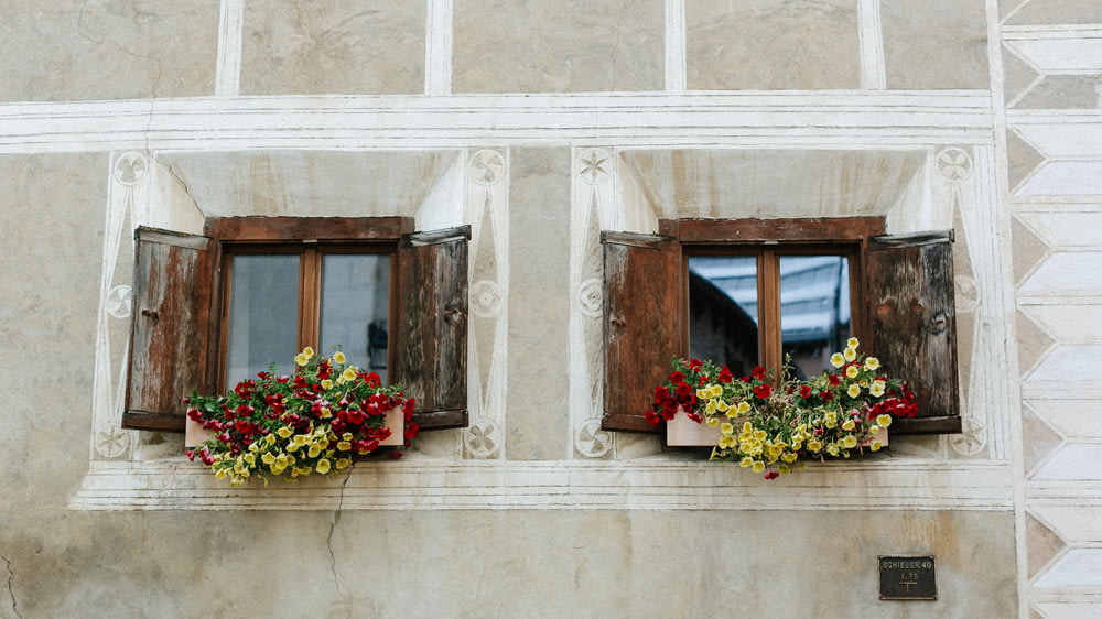 a group of windows with flowers in them