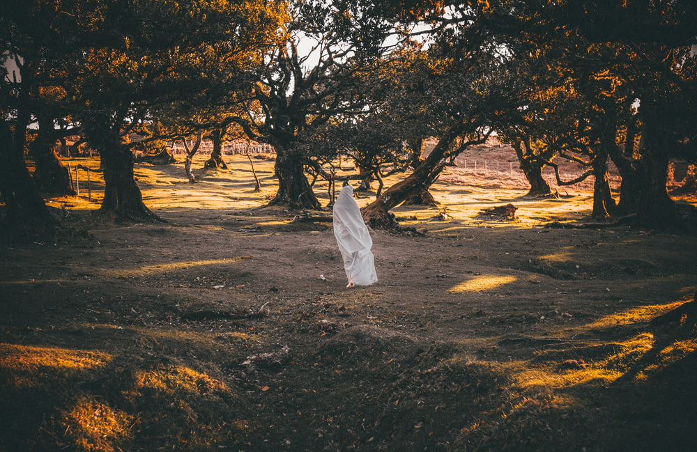 a person in a white dress in a park with trees