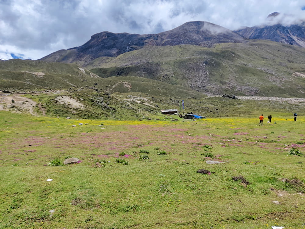 a group of people walking on a grassy hill with mountains in the background