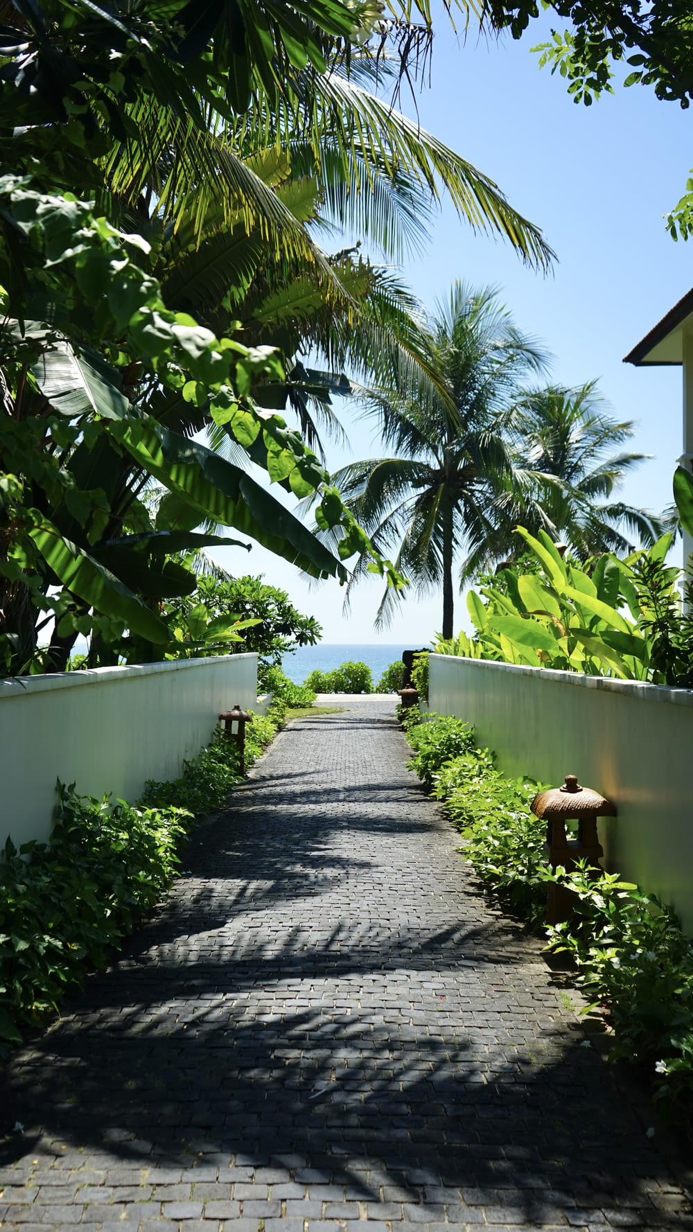 a stone pathway with palm trees and a body of water in the background