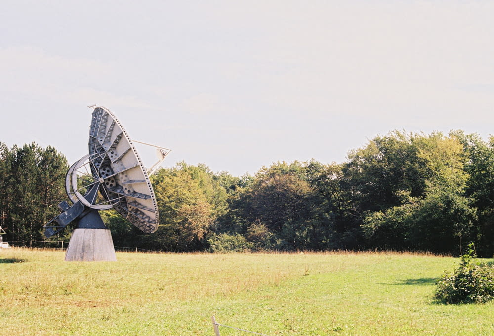 a sculpture in a field