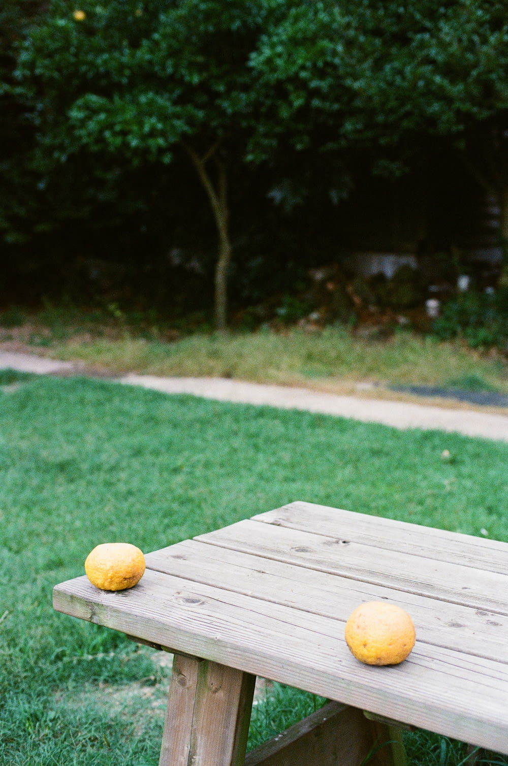 a couple of oranges on a wooden bench