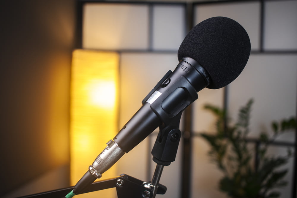 a black microphone on a stand