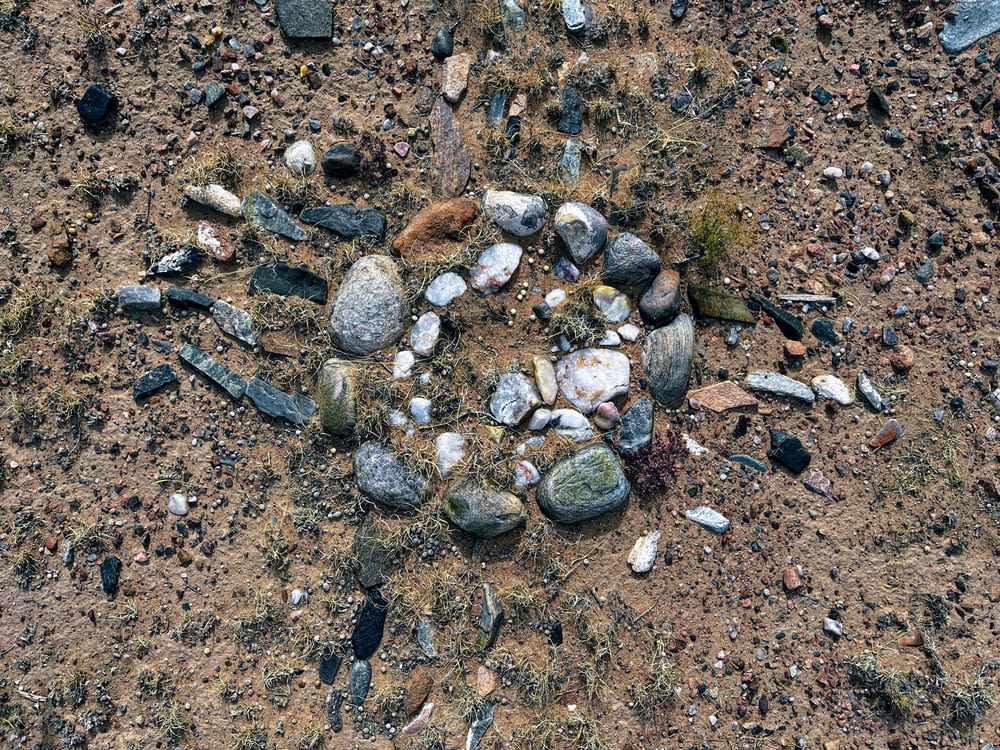 a pile of rocks