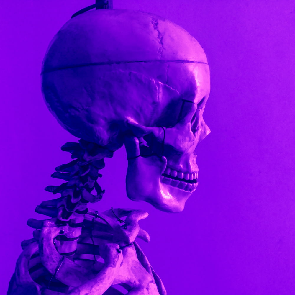 a brain with a purple background
