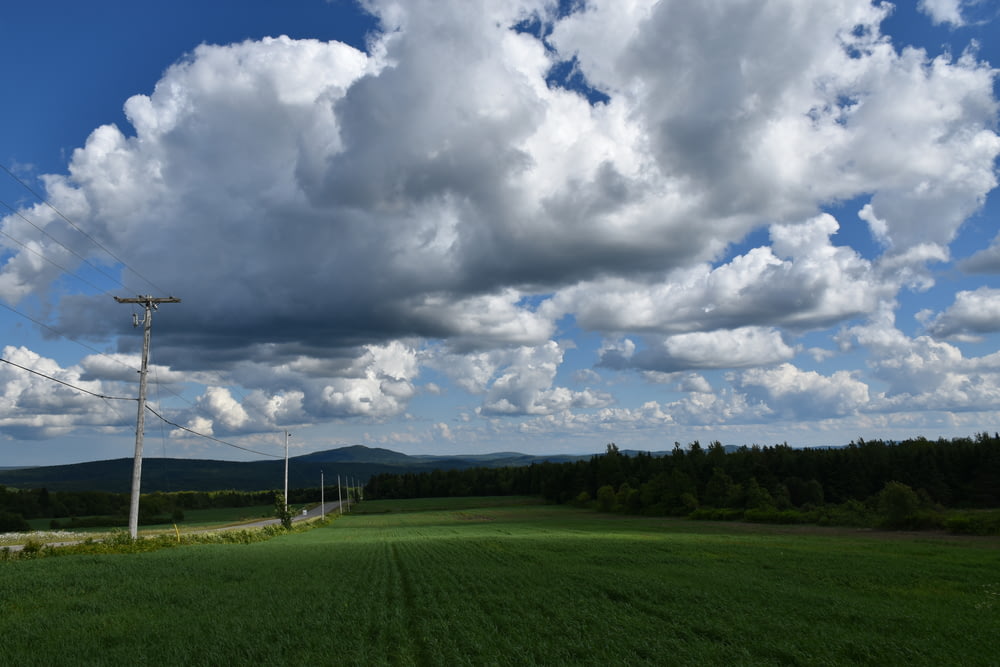 a large green field with power lines
