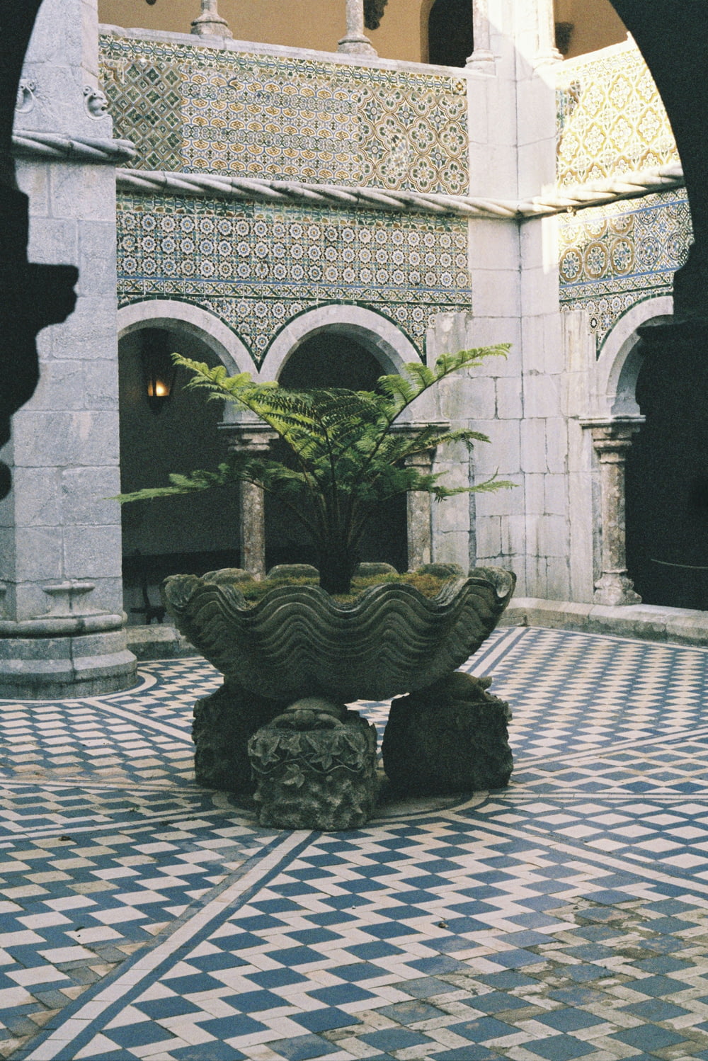 a courtyard with a fountain and plants