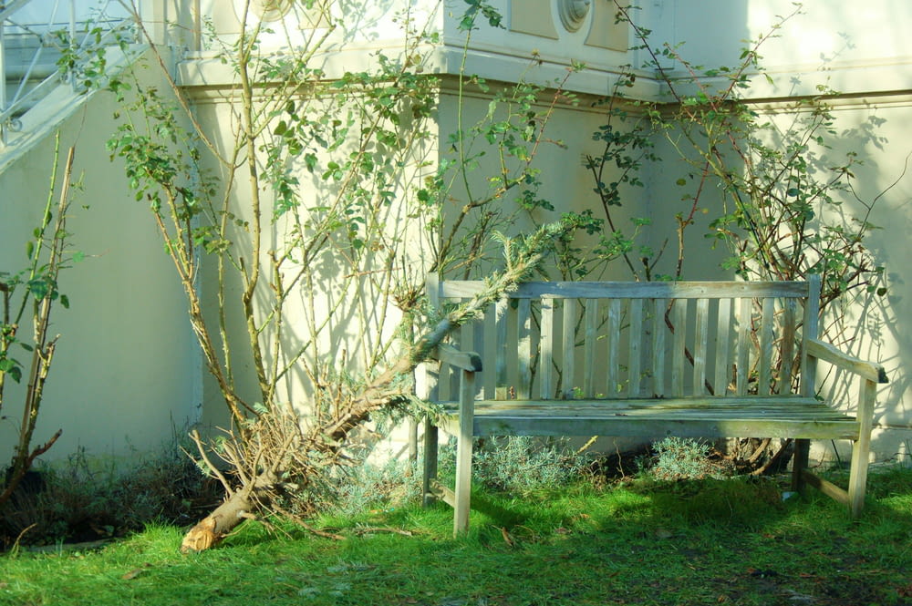 a bench in a yard
