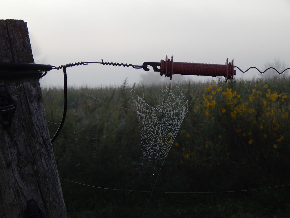 a fishing net on a pole