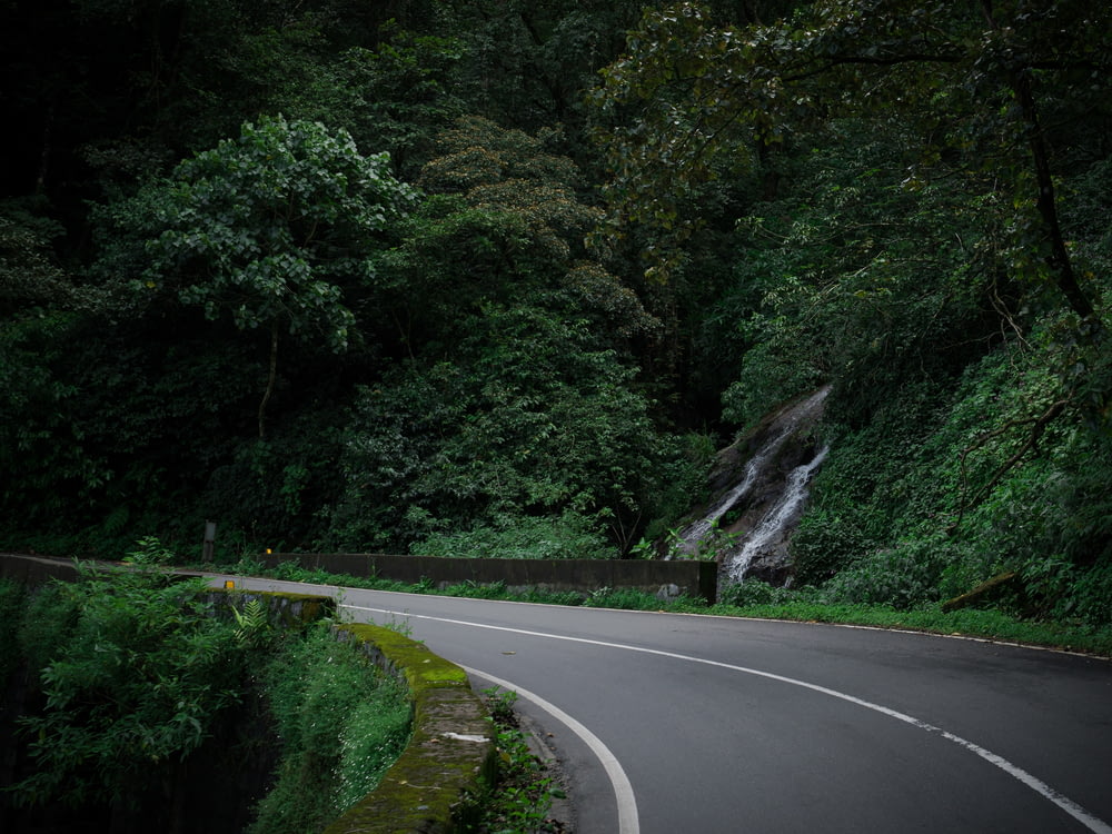 a road with a waterfall and trees on the side
