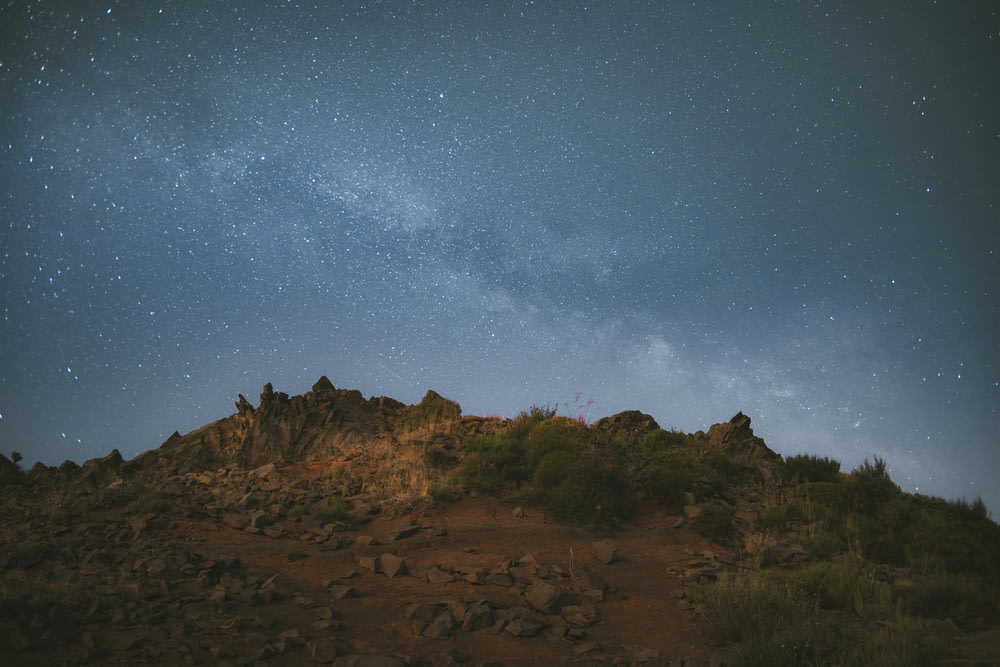 a rocky hill with trees and stars in the sky