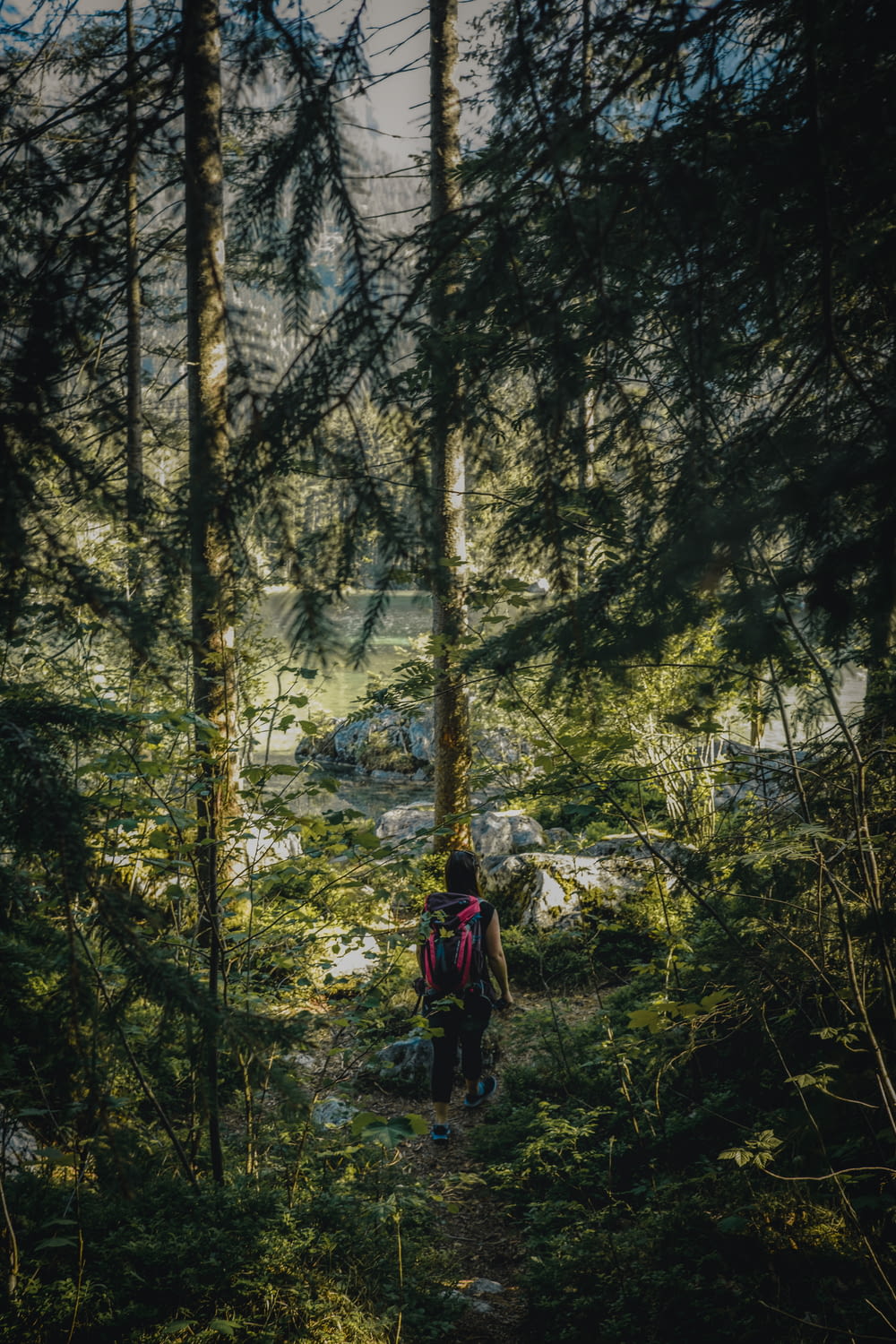 Una persona che cammina attraverso una foresta