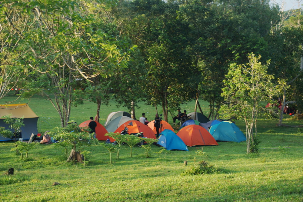 a group of people in a field with tents