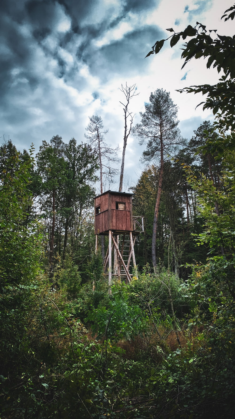 a wooden tower in the middle of a forest
