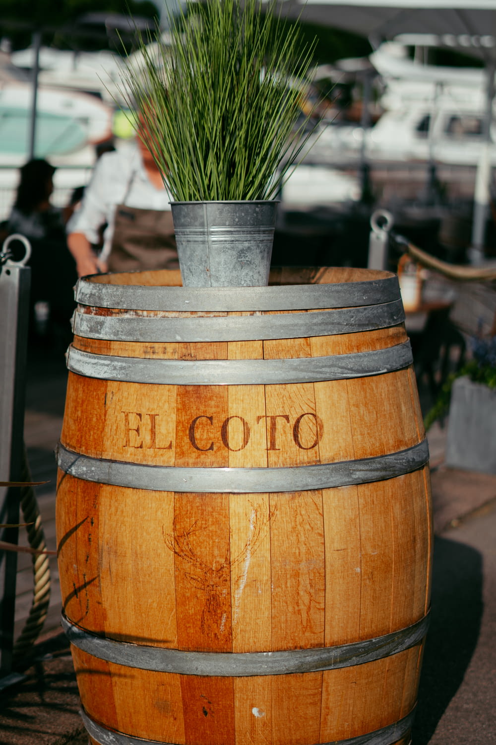 a barrel with a plant in it