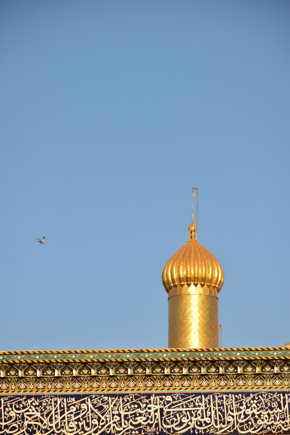 a bird flying over a domed building