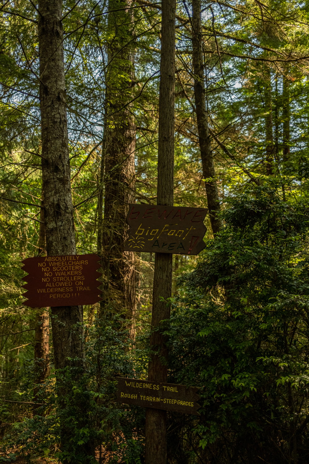 a signpost in the woods