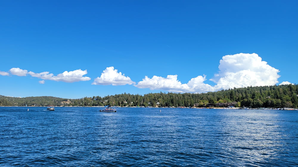 a body of water with boats in it and trees in the back
