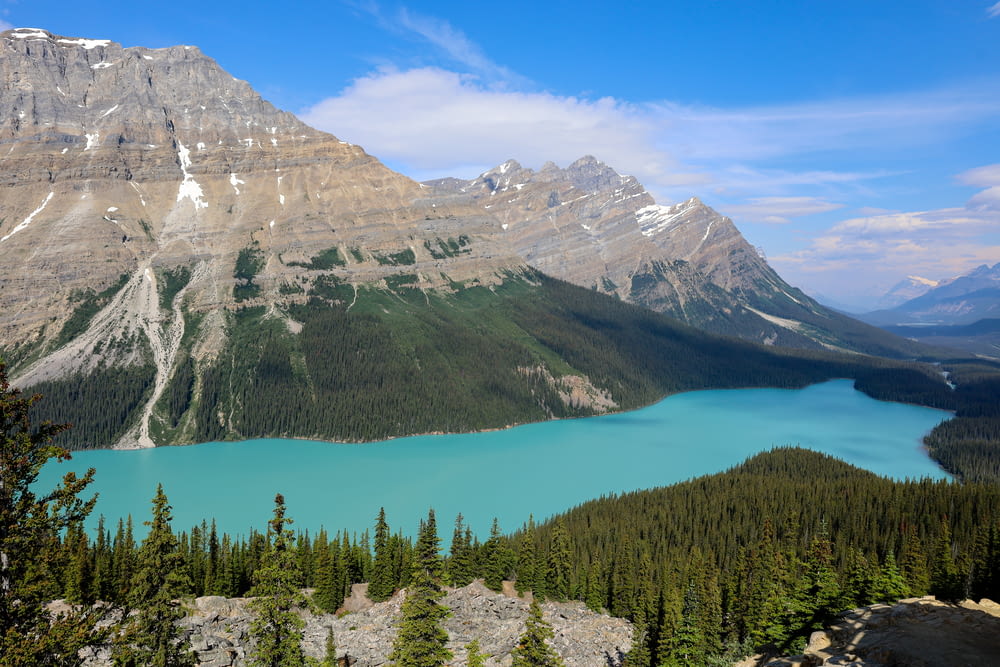 Peyto Lake surrounded by mountains