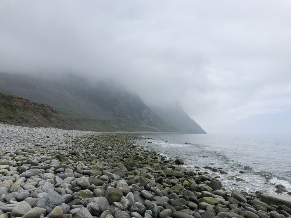 a rocky beach with fog