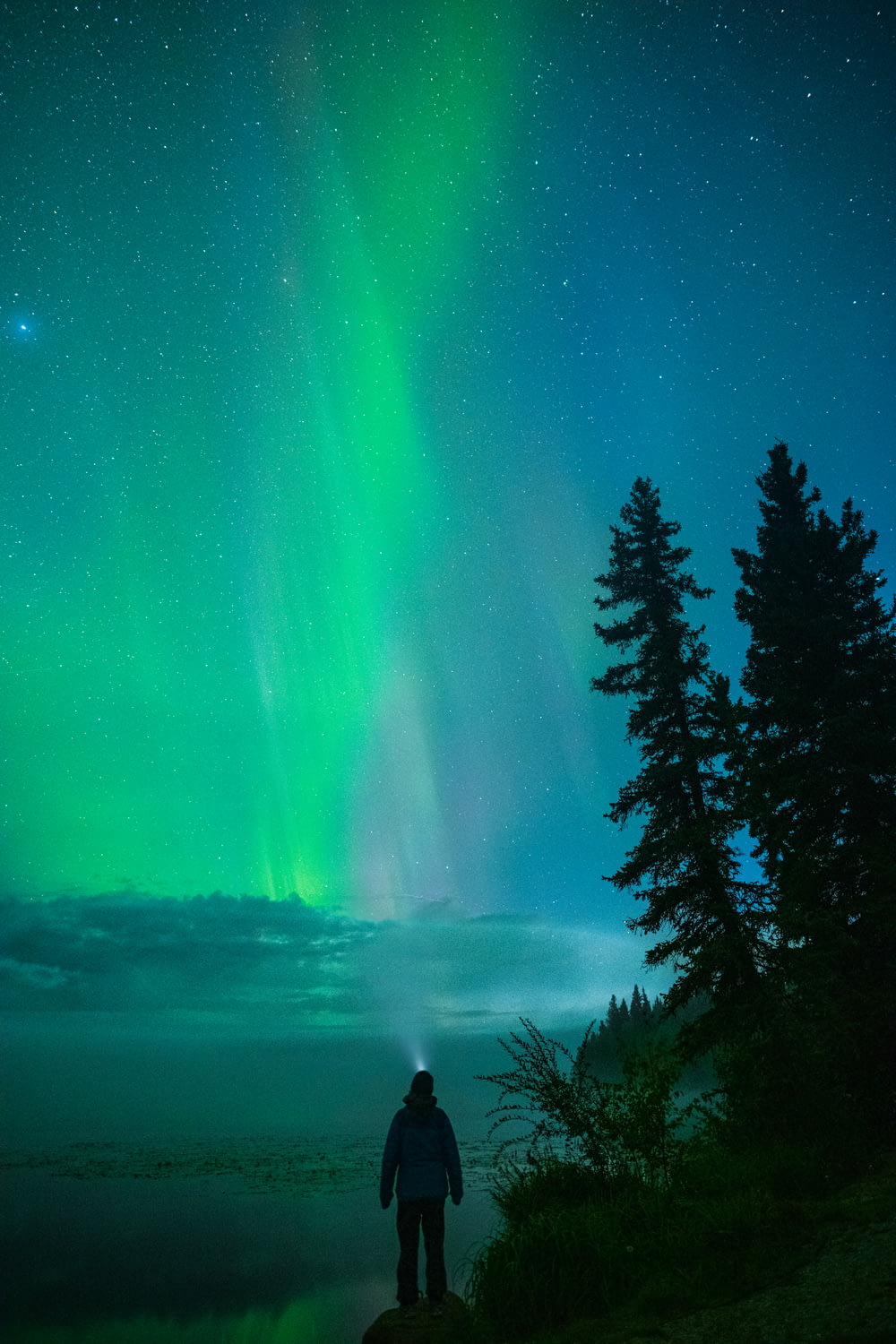 Eine Person, die vor einer leuchtend grünen Aurora am Himmel steht