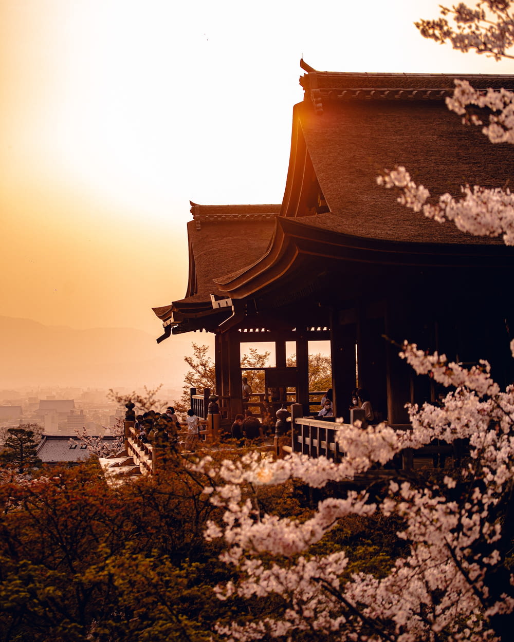 une pagode avec un arbre devant elle avec Kiyomizu-dera en arrière-plan