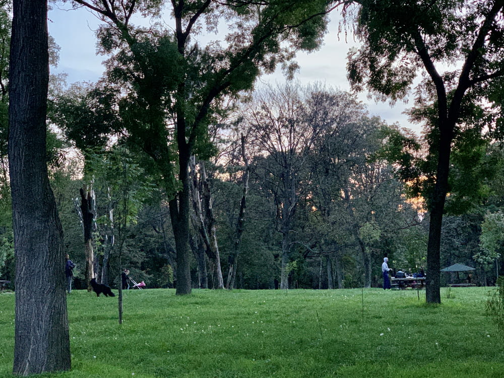 um grupo de pessoas andando em um parque