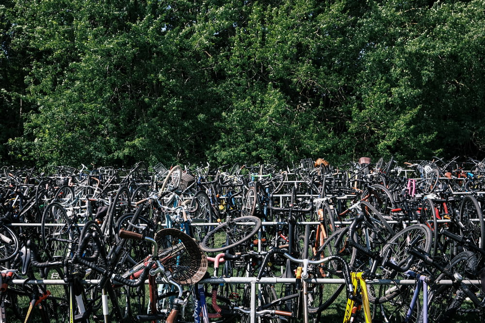 a large group of bicycles