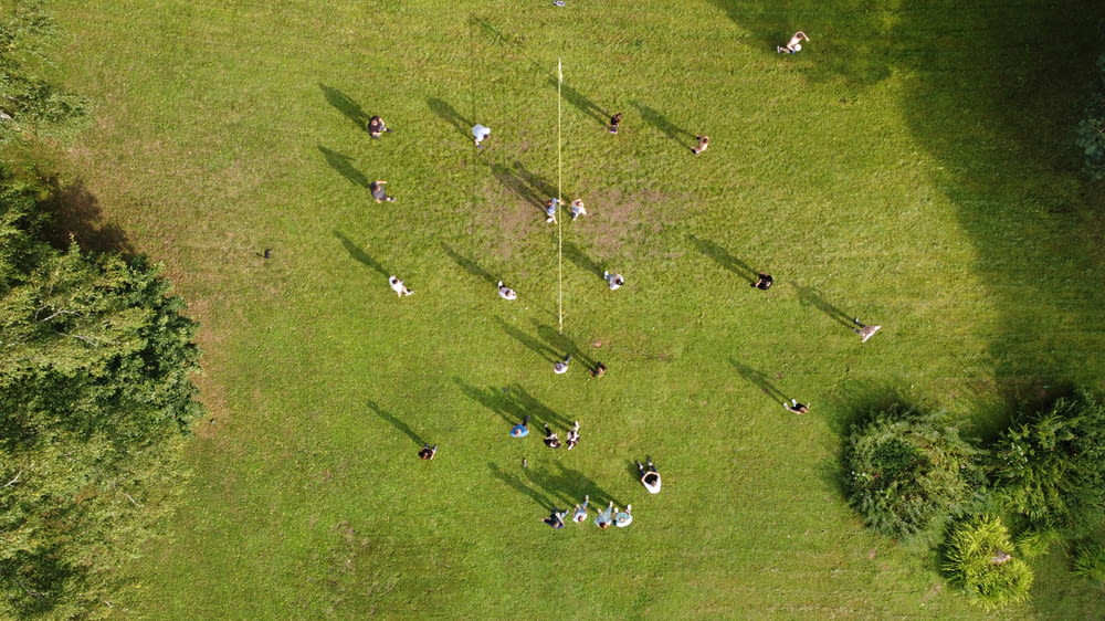 a group of people on a golf course
