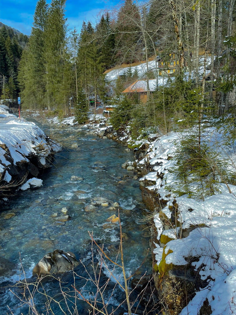 un fiume con neve e alberi
