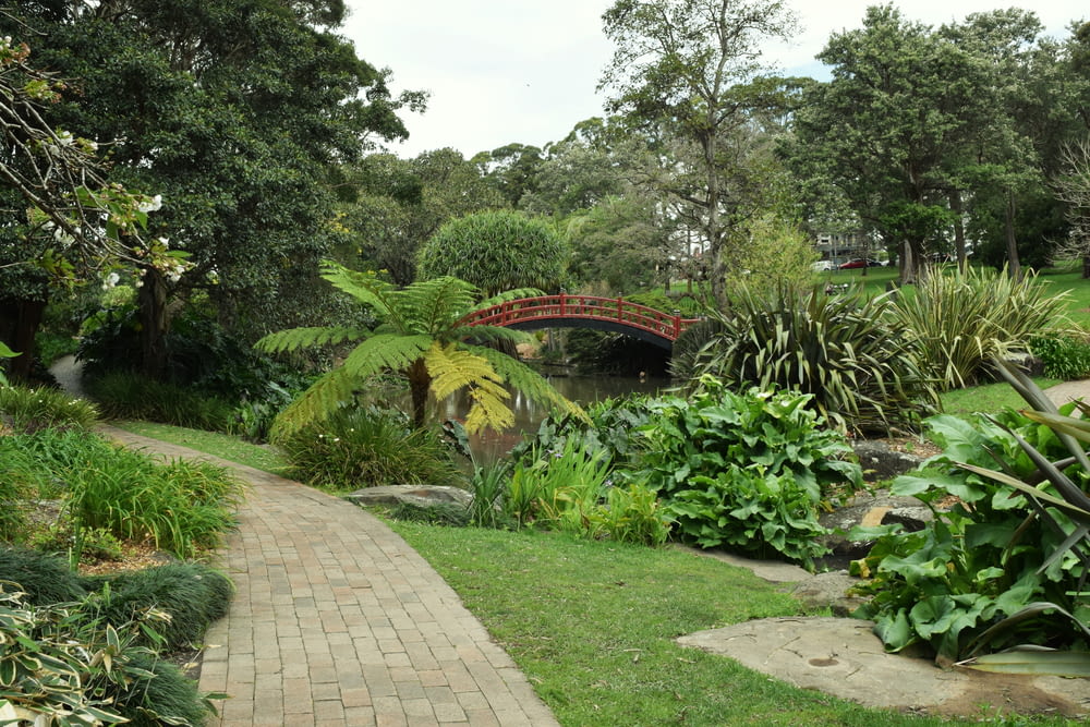 a path with plants and trees on the side