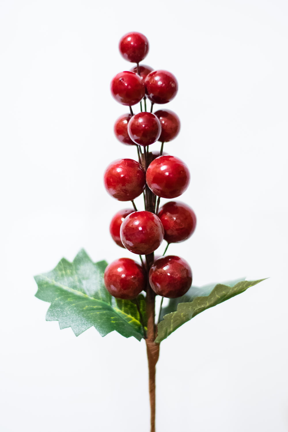 a close-up of some cherries