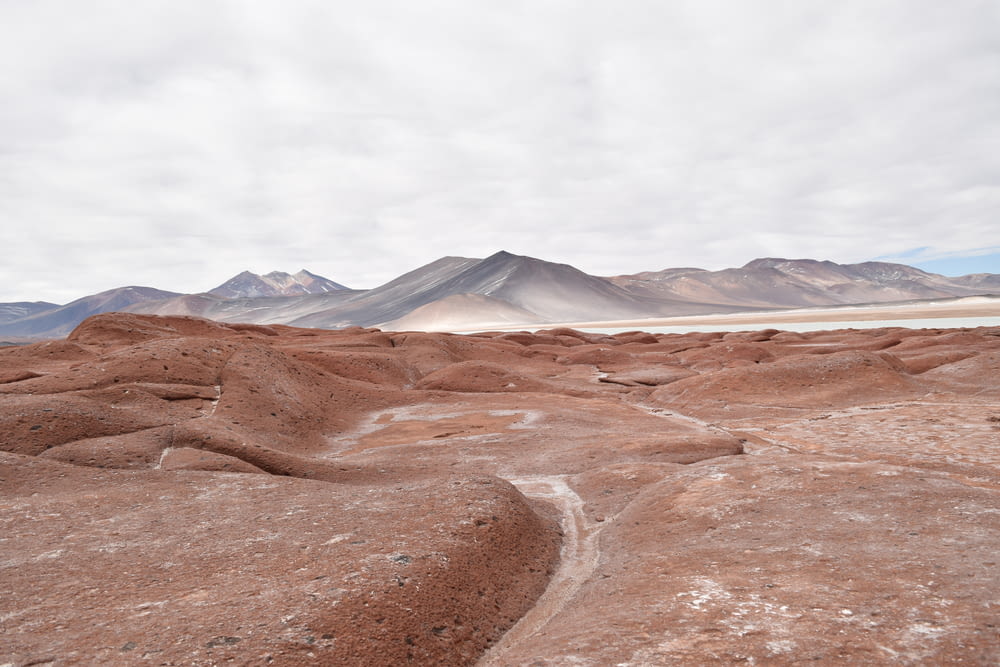 a dirt road in a desert