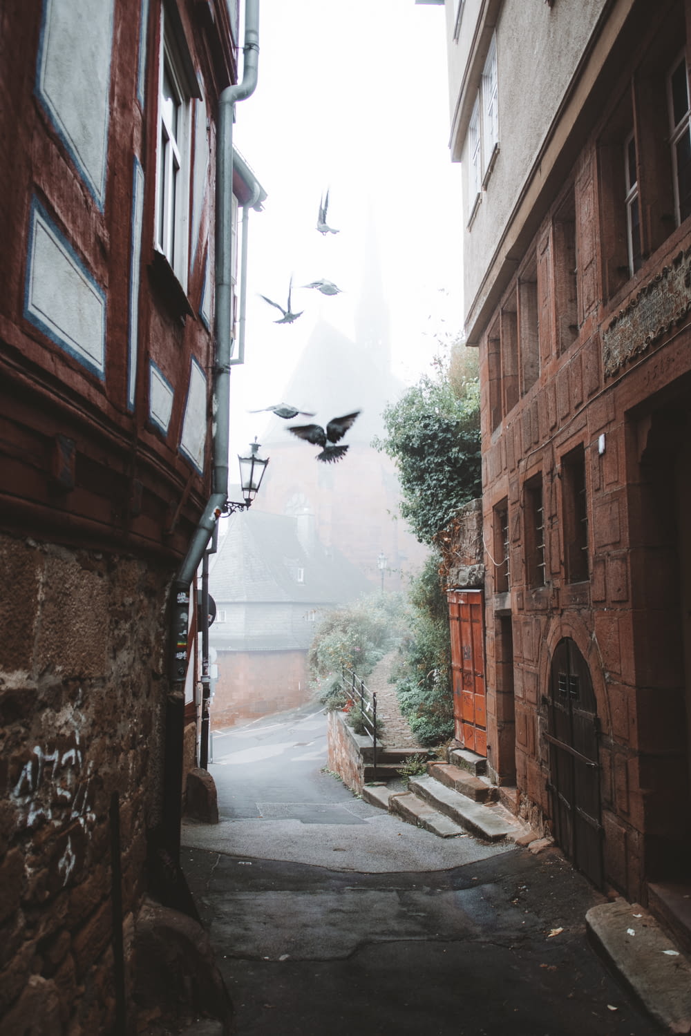a group of birds flying over a narrow alley between buildings