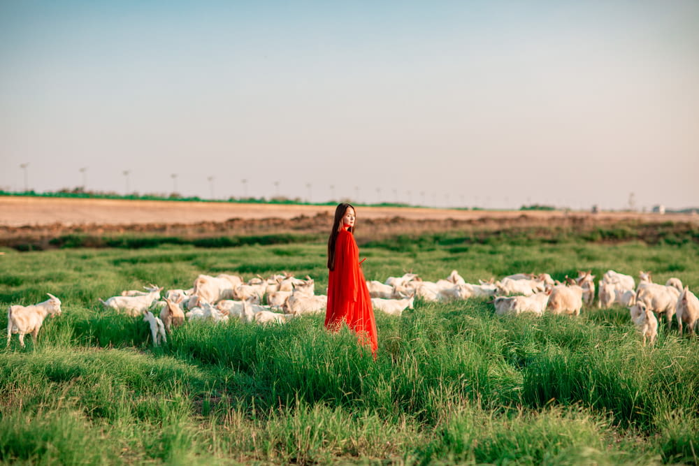 a person in a red dress standing in front of a herd of sheep