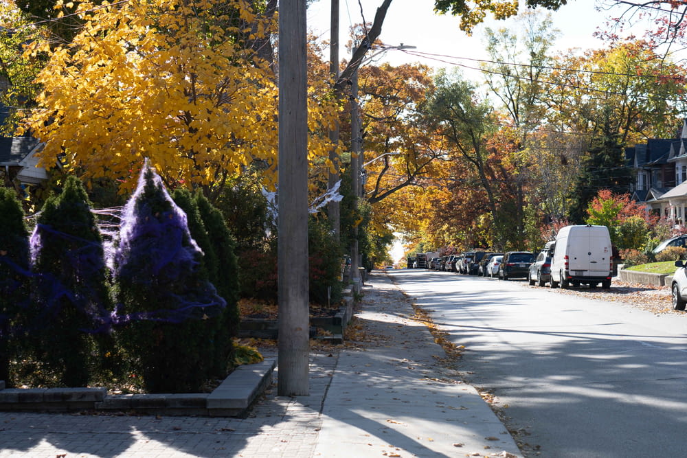 a street with cars and trees on the side