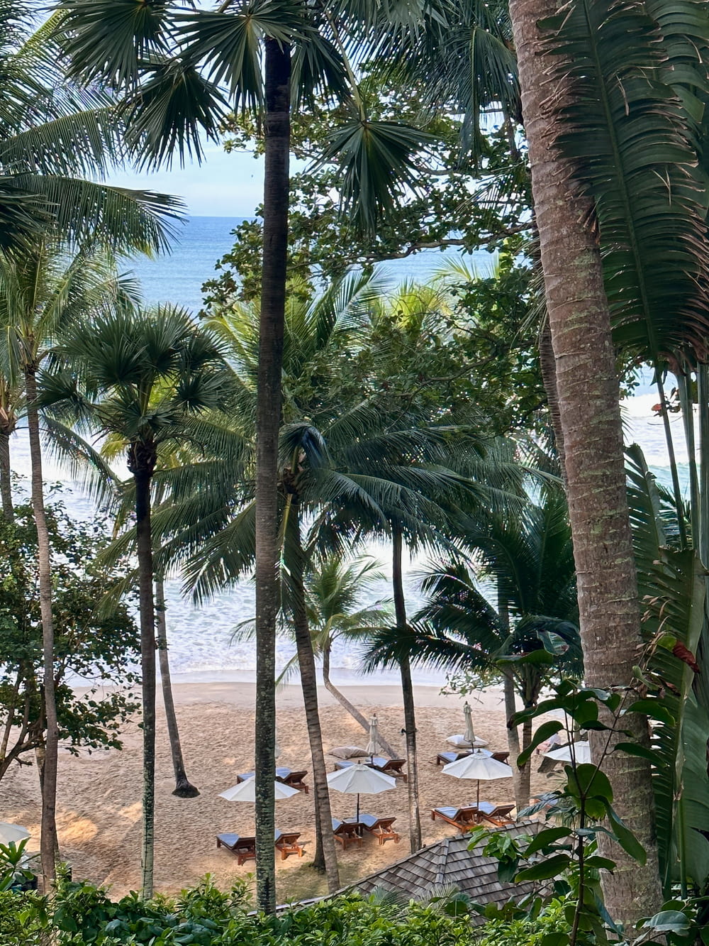Una playa con palmeras