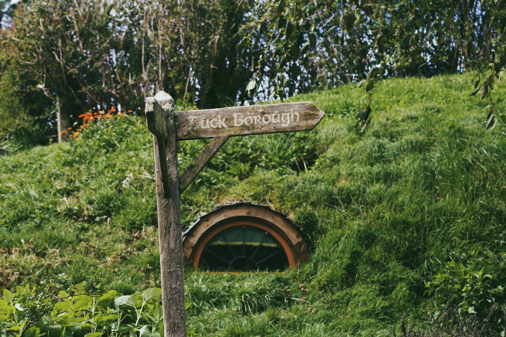 a sign in a forest