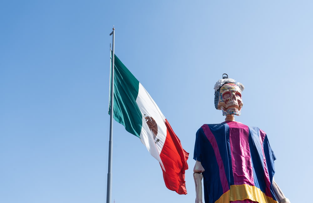 a man wearing a mask and holding a flag