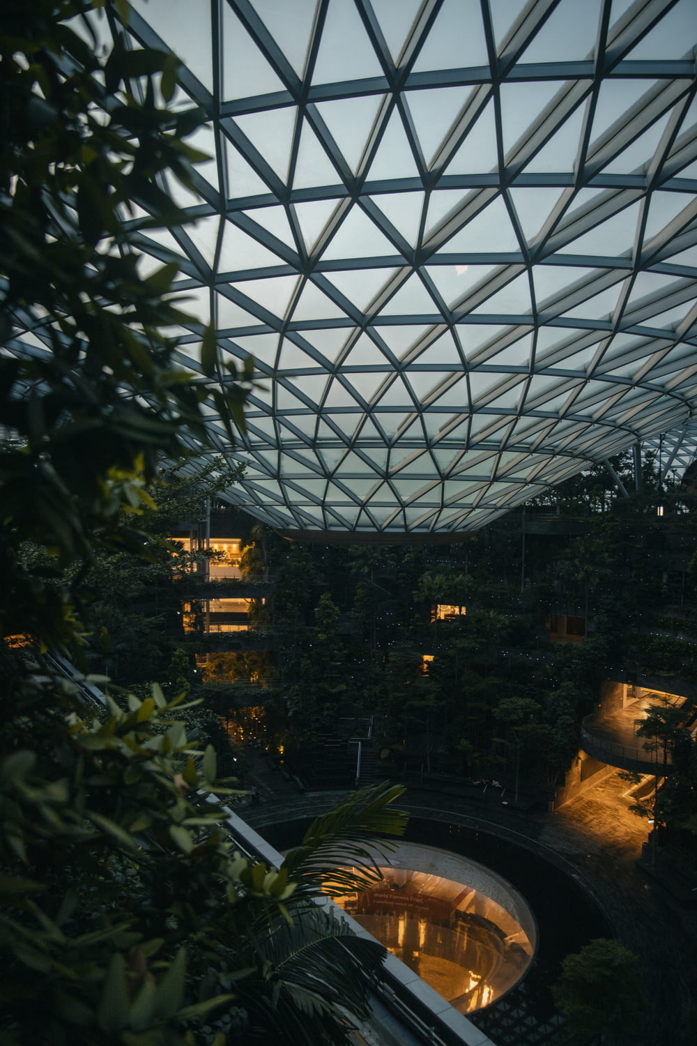 a large glass dome with trees around it
