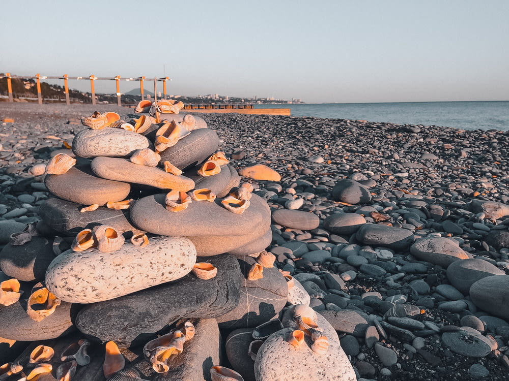 a group of rocks on a beach