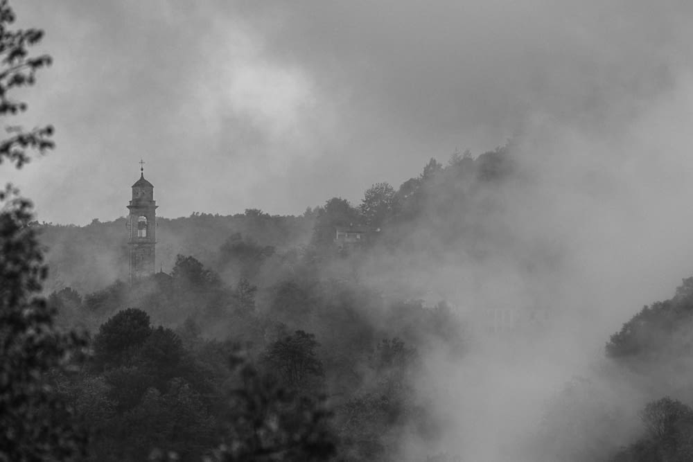 a foggy forest with a tower
