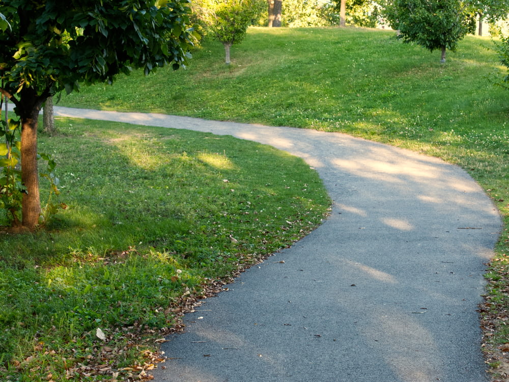 a path in a park