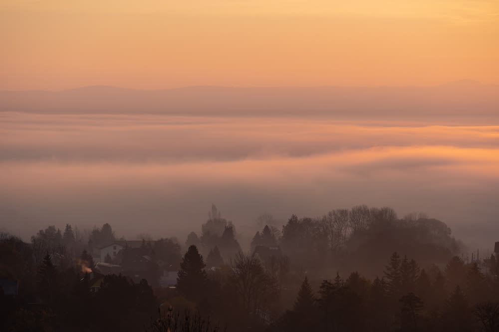 a foggy landscape with trees and buildings